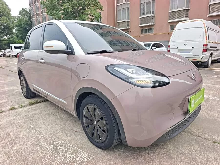 Wuling Bingo