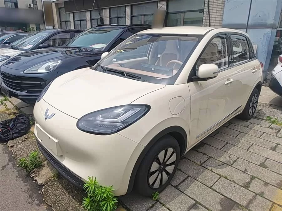 Wuling Bingo