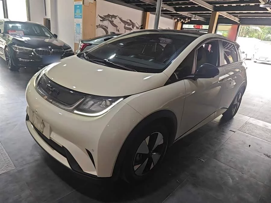 BYD Dolphin