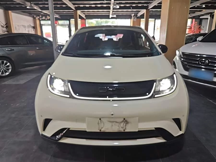 BYD Dolphin