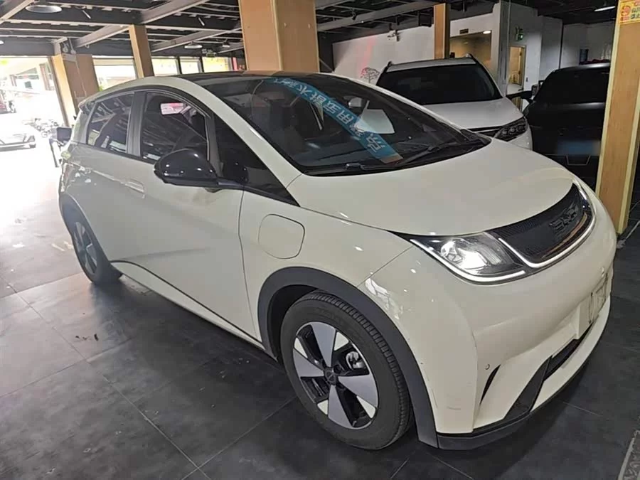 BYD Dolphin