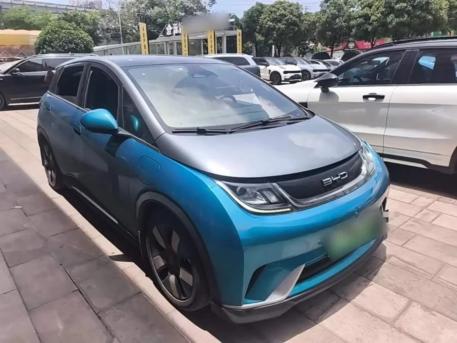BYD Dolphin