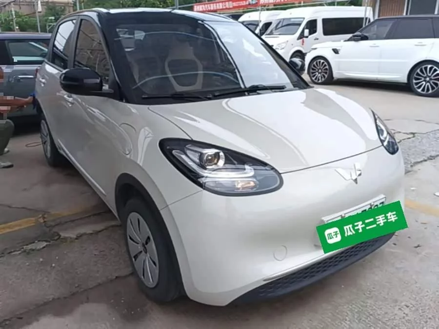 Wuling Bingo