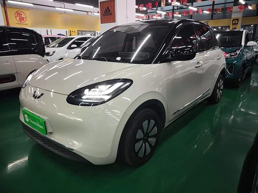 Wuling Bingo