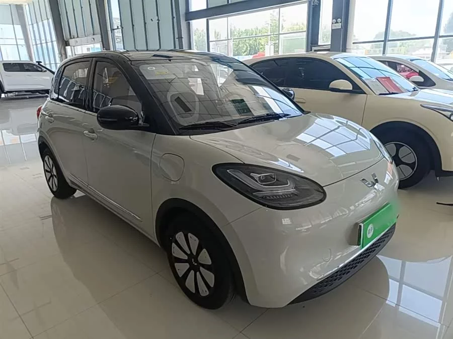 Wuling Bingo