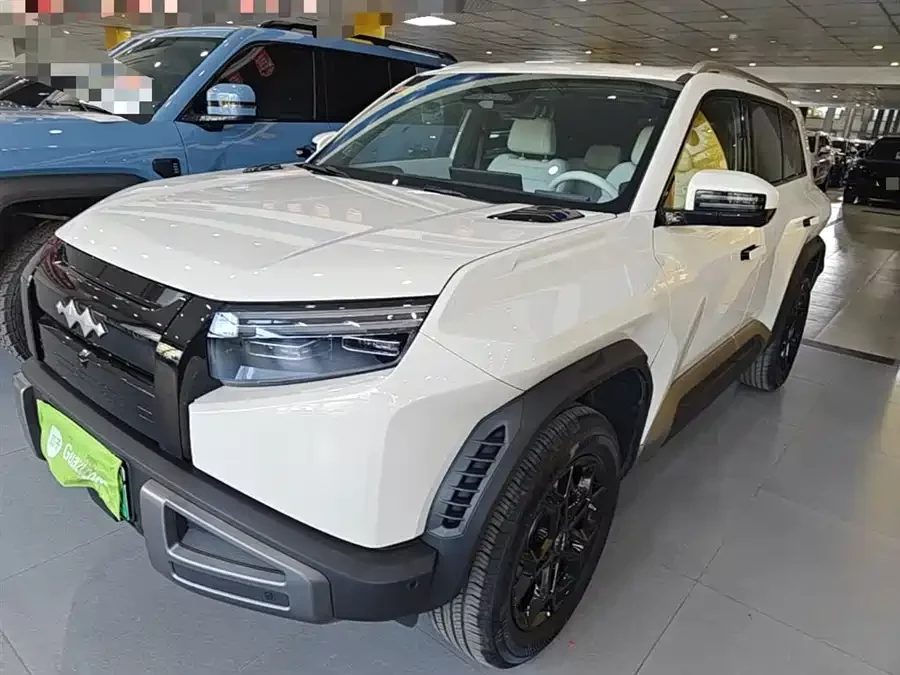 BYD Leopard Titanium 3
