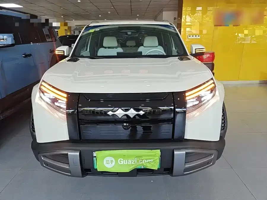 BYD Leopard Titanium 3