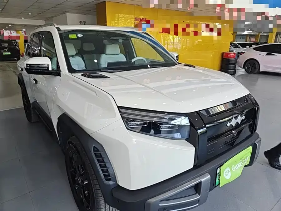 BYD Leopard Titanium 3