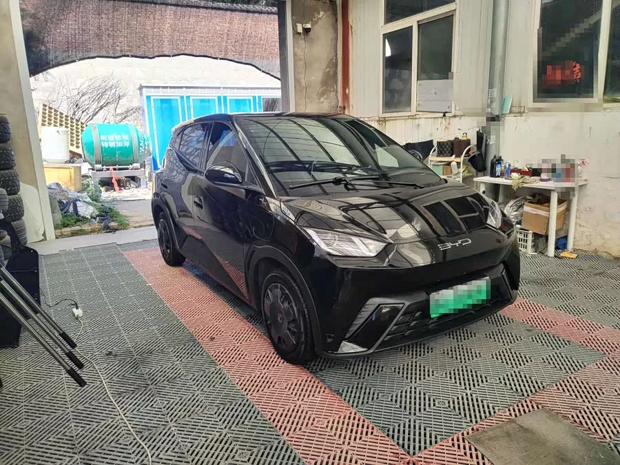 BYD Seagull