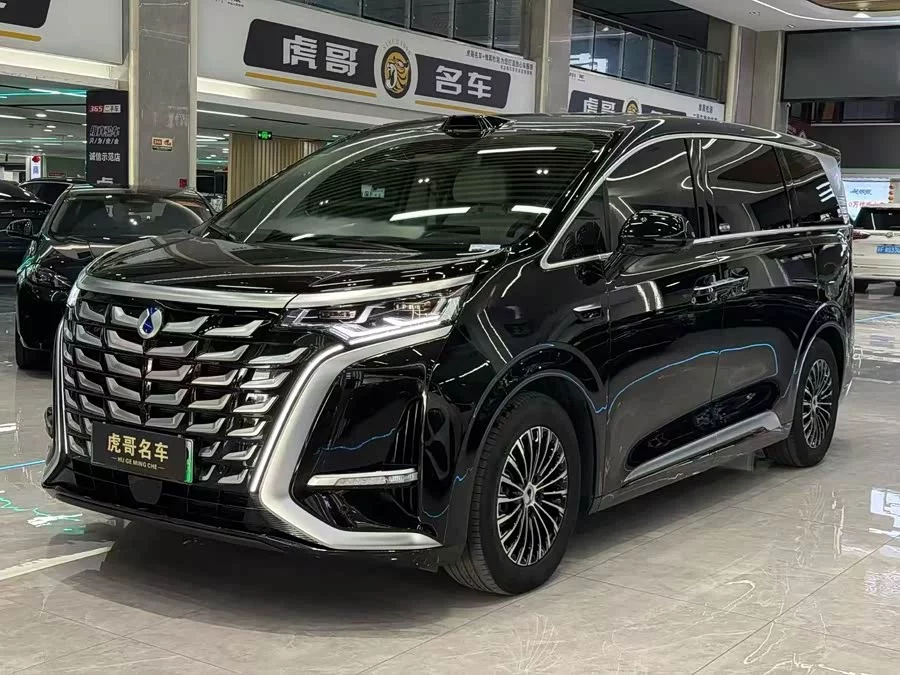 BYD D9