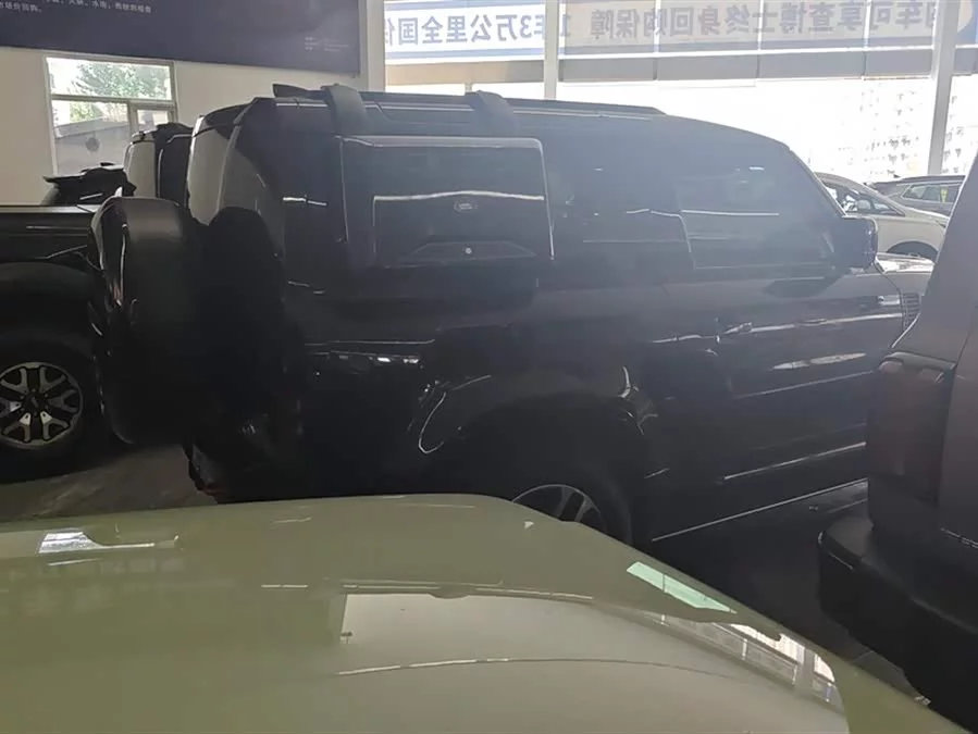 Land Rover guard