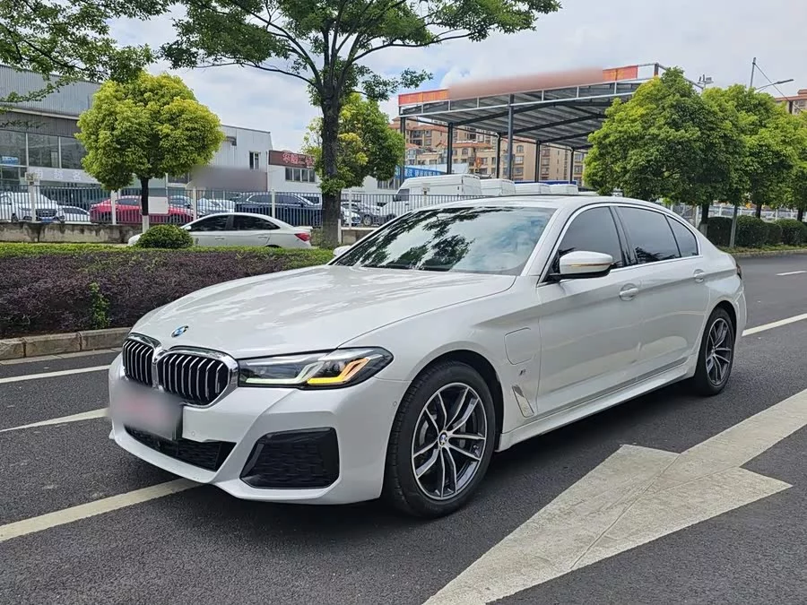 BMW 5 Series New Energy
