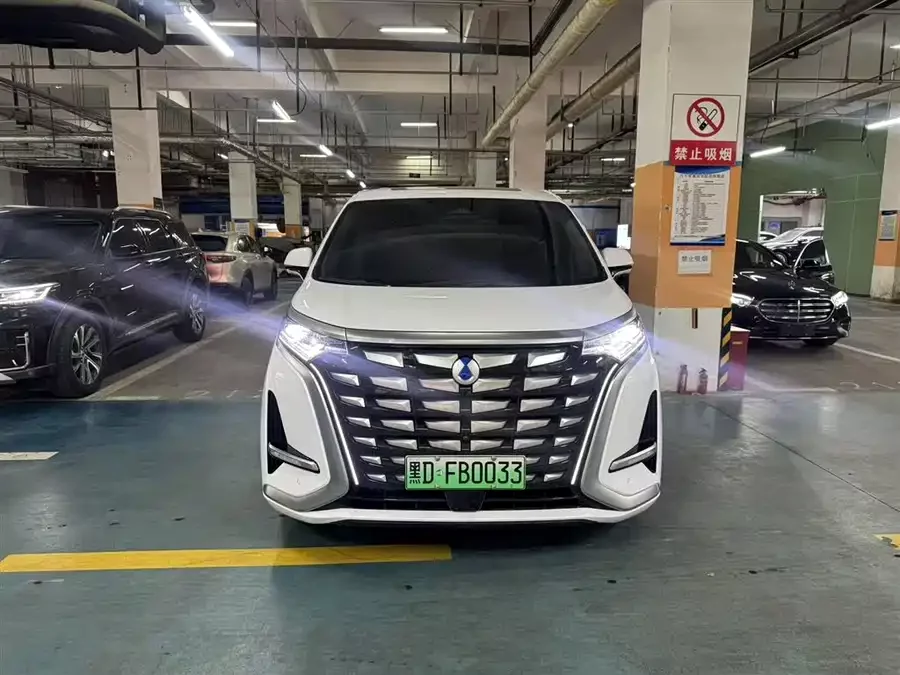 BYD D9