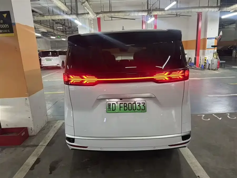 BYD D9