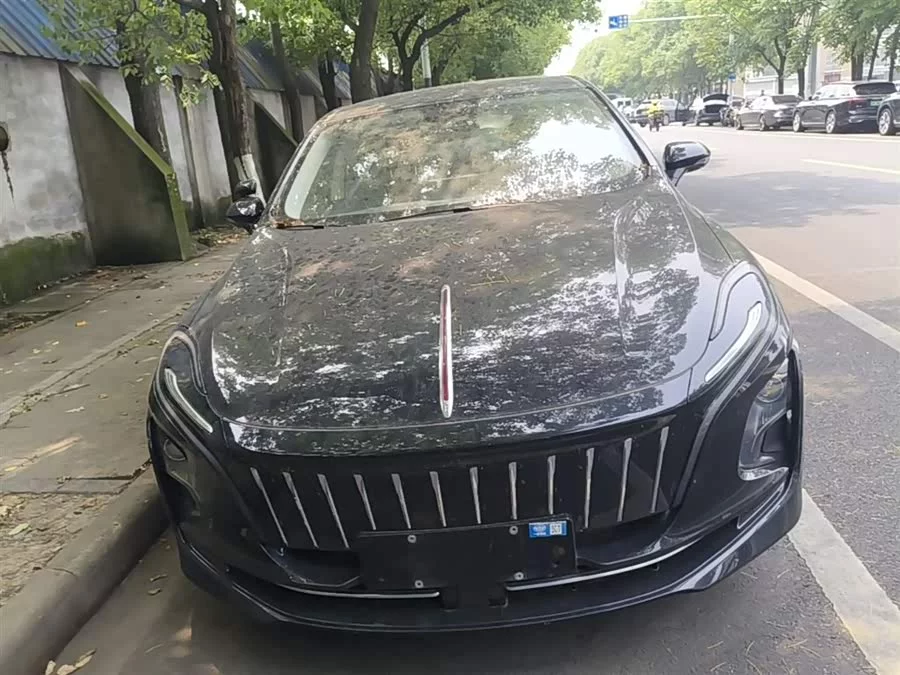 Hongqi E-QM5