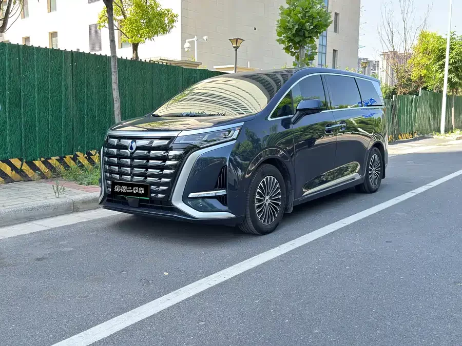 BYD D9