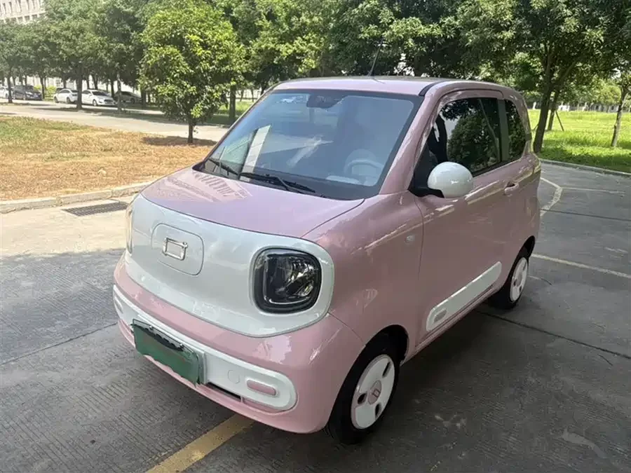 Pentium pony