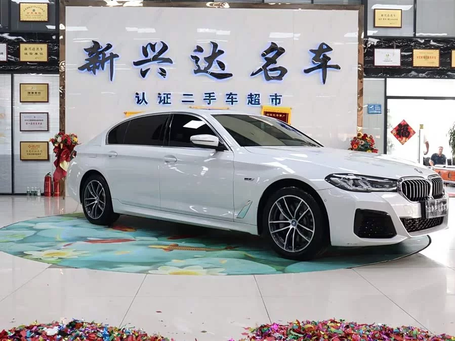 BMW 5 Series New Energy