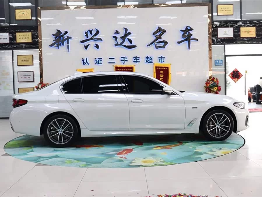 BMW 5 Series New Energy