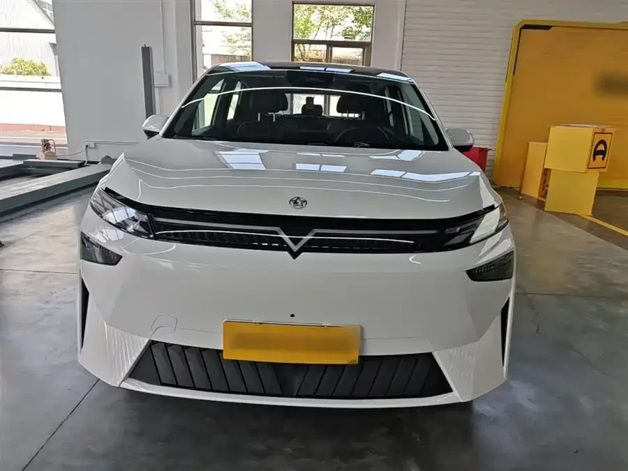 Venucia VX6