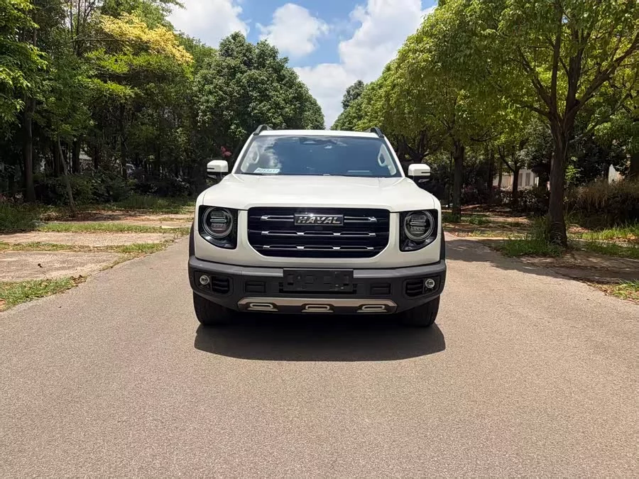Haval Big Dog DaGou