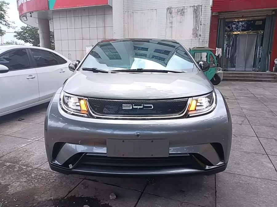 BYD Dolphin