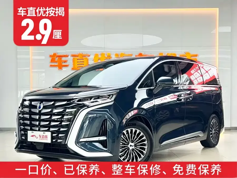BYD D9