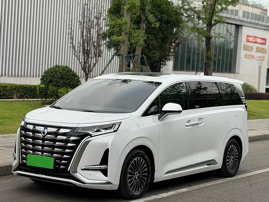 BYD D9