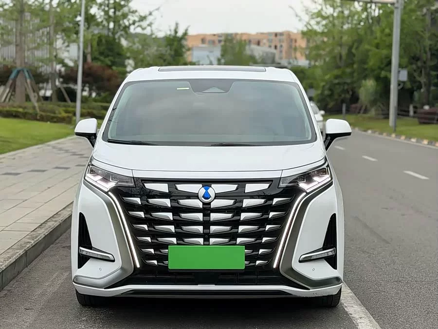 BYD D9