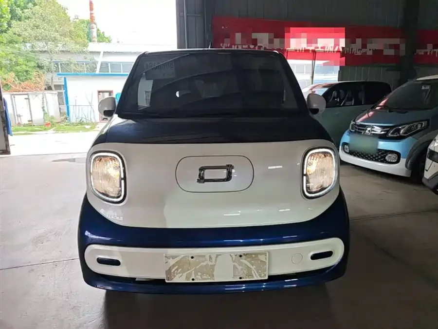 Pentium pony