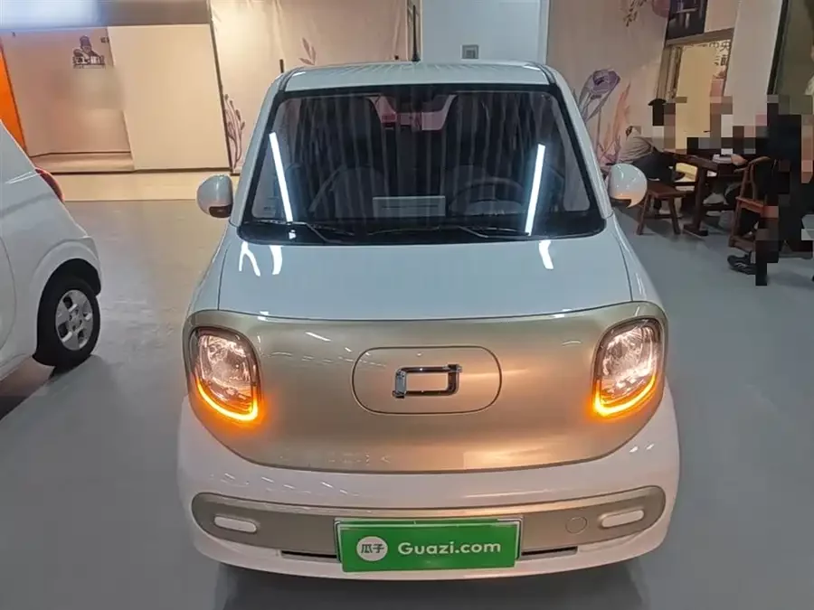 Pentium pony