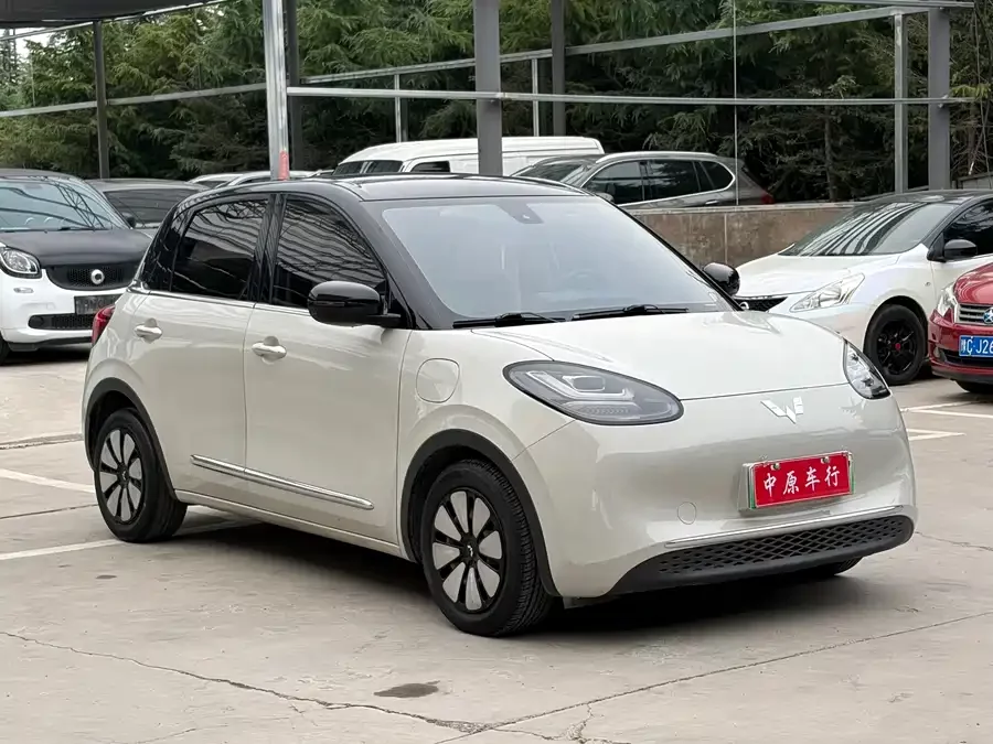 Wuling Bingo