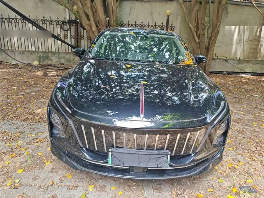 Hongqi E-QM5