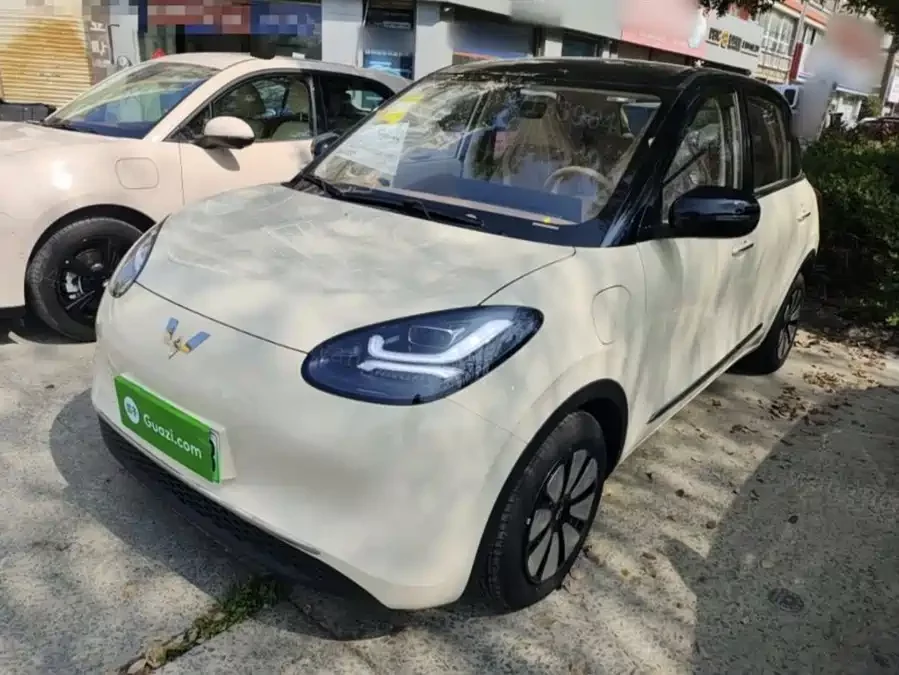 Wuling Bingo