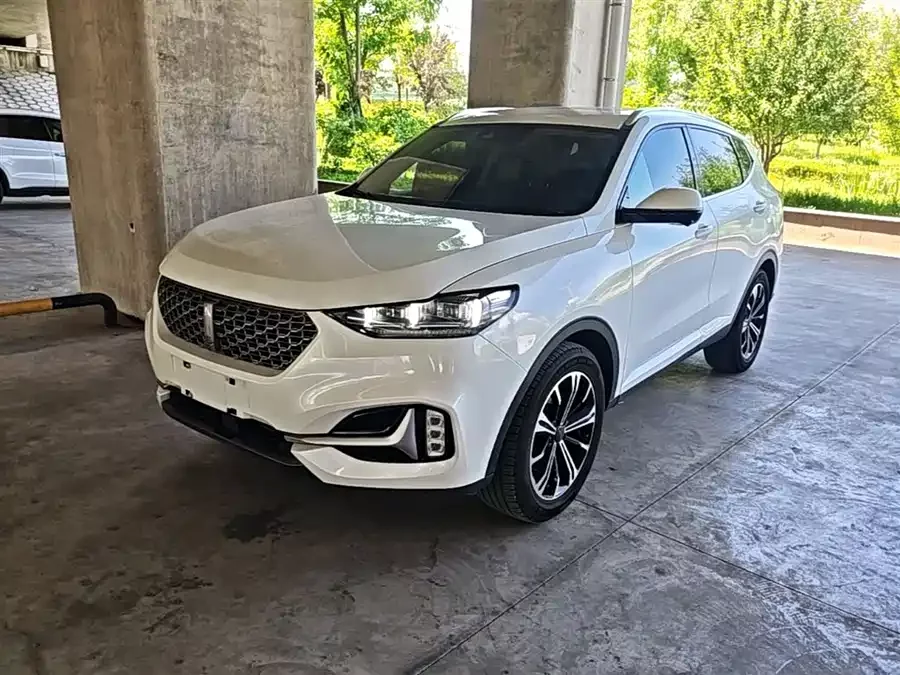 Wey VV6