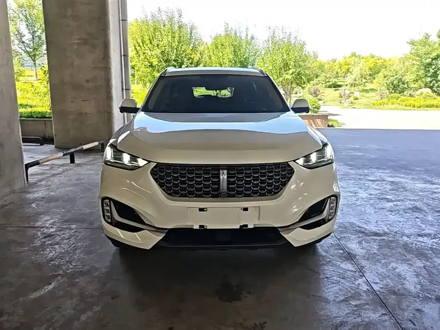Wey VV6
