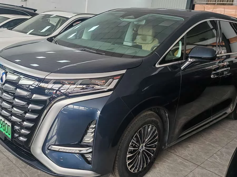 BYD D9