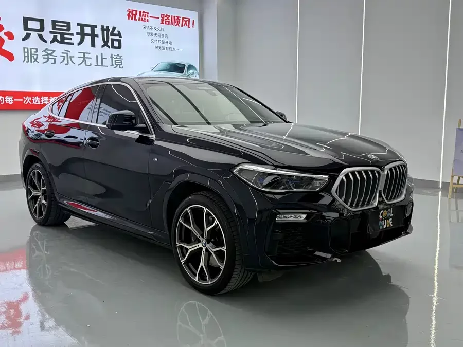 BMW X6