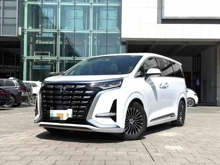BYD D9