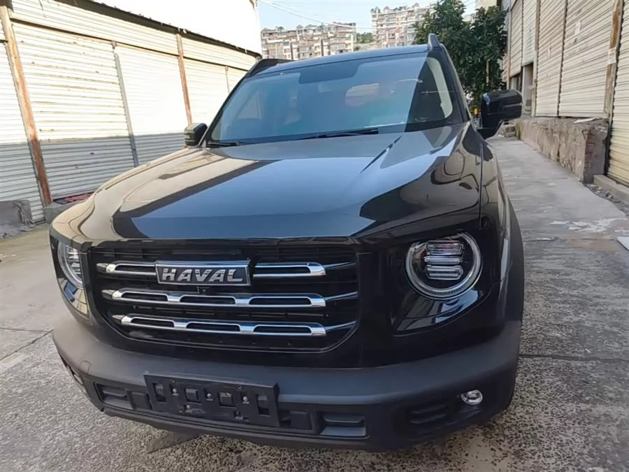 Haval Big Dog DaGou
