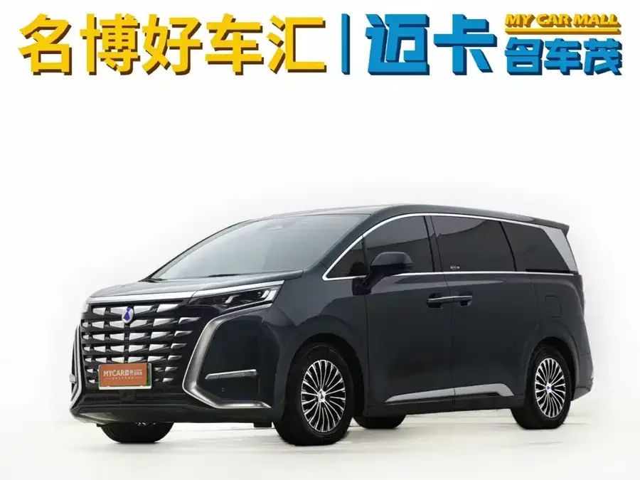 BYD D9