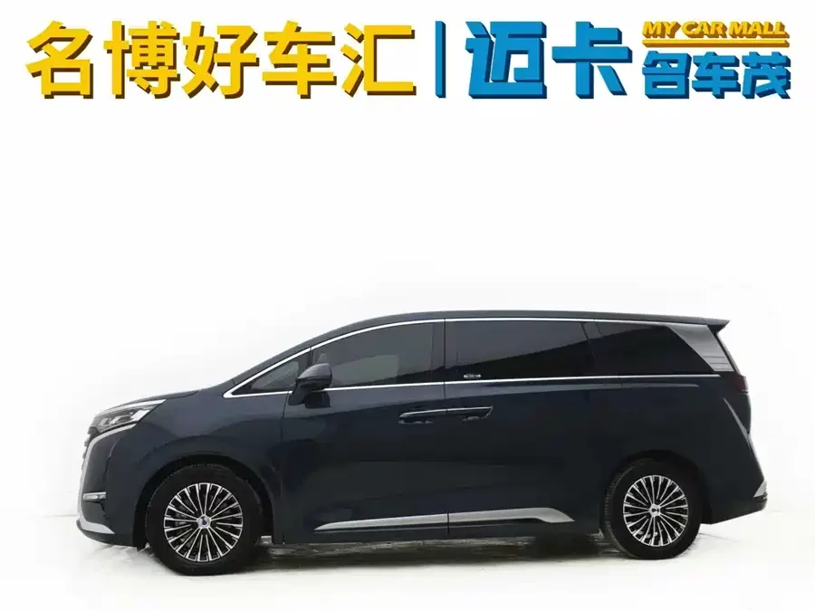 BYD D9