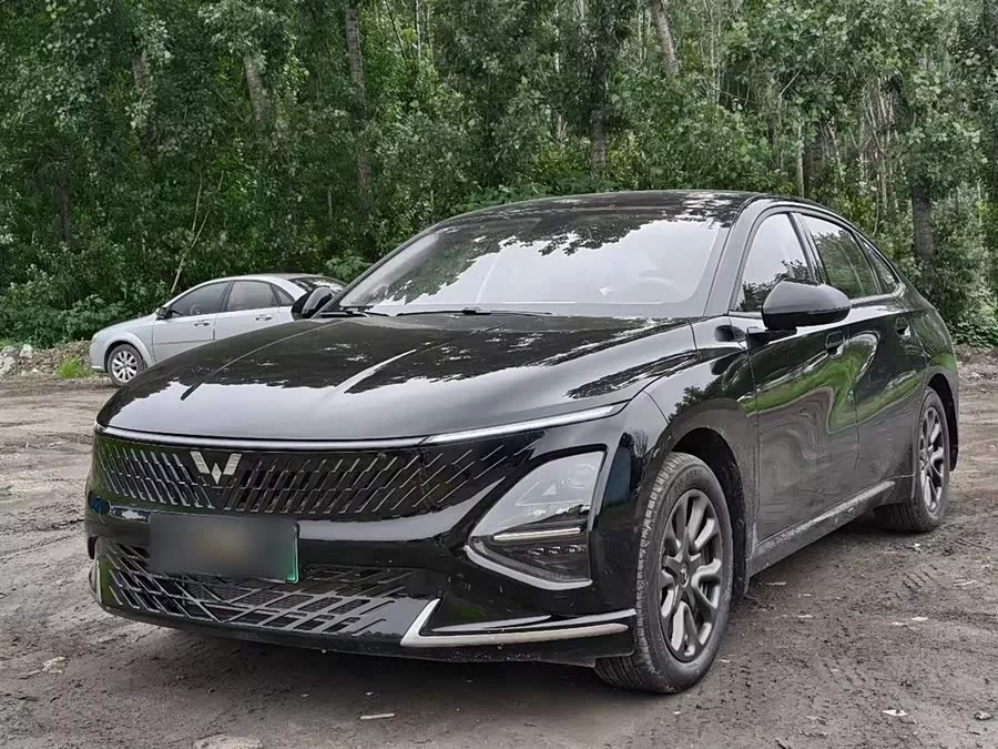 Wuling Starlight