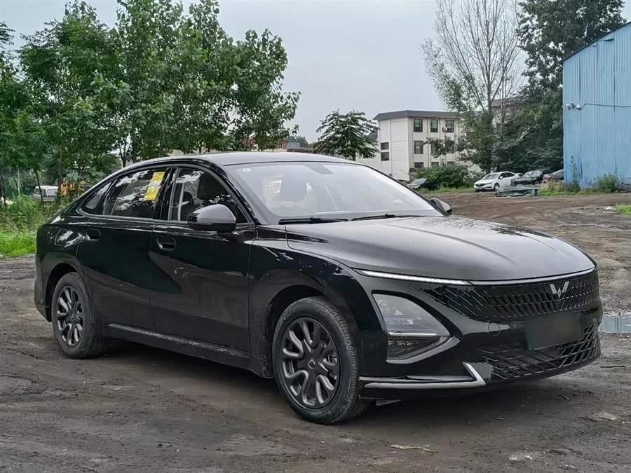 Wuling Starlight