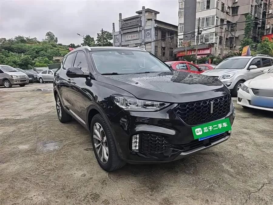 Wey VV6