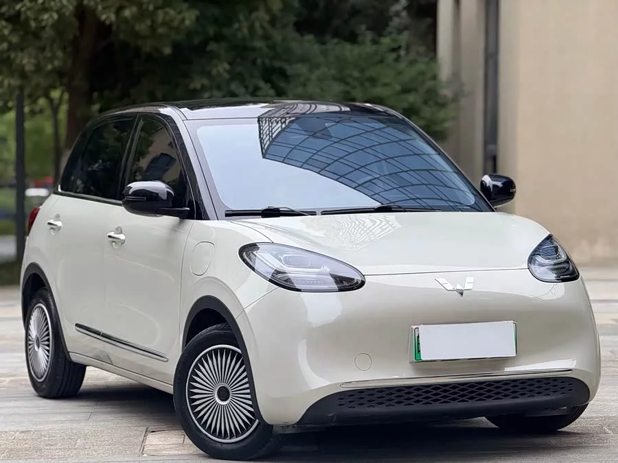 Wuling Bingo