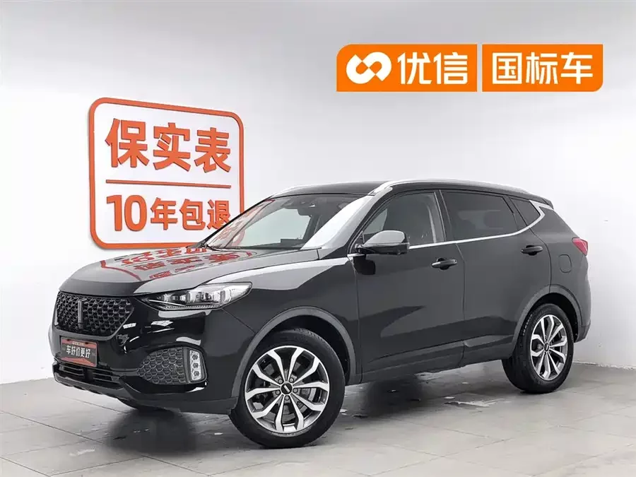 Wey VV6
