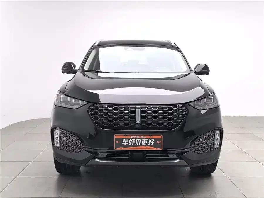 Wey VV6