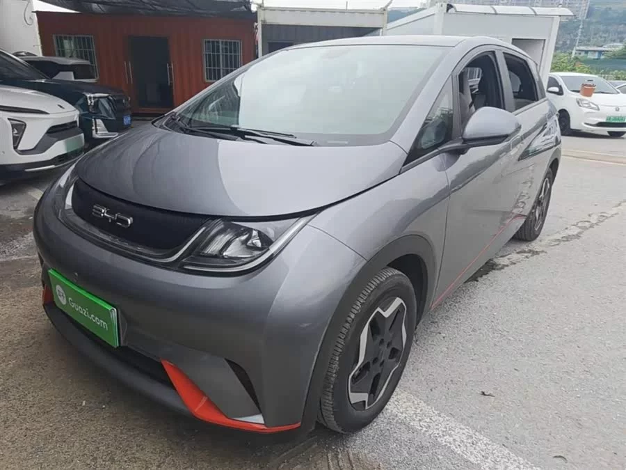 BYD Dolphin