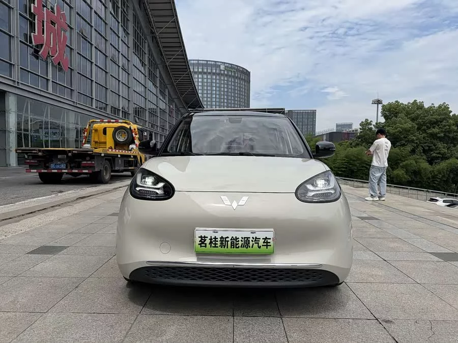 Wuling Bingo